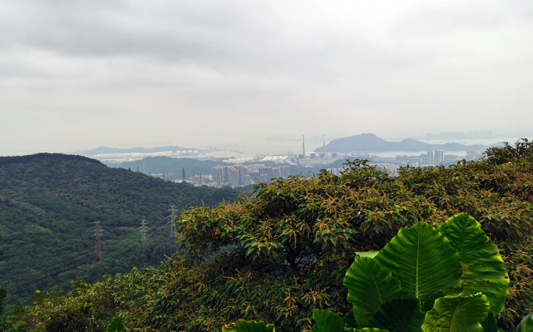 激扬青春、奋勇攀登登山活动